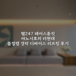 웰247 페이스튠핏 야노시호의 더현대 품절템 경락 디바이스 리프팅 후기