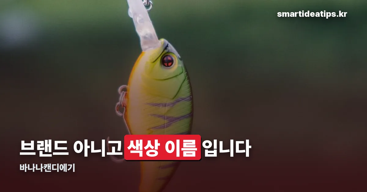 바나나캔디에기 정리 썸네일