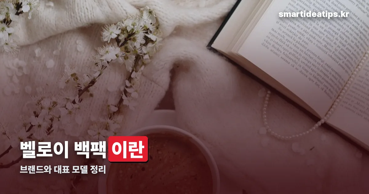 벨로이 백팩 정리 썸네일