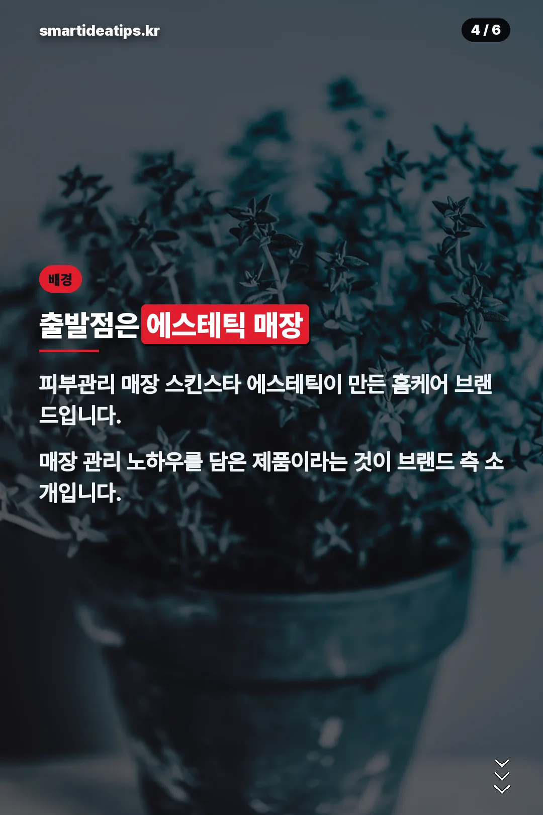 에스테틱 매장 배경