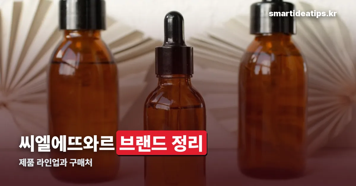 씨엘에뜨와르 정리 썸네일