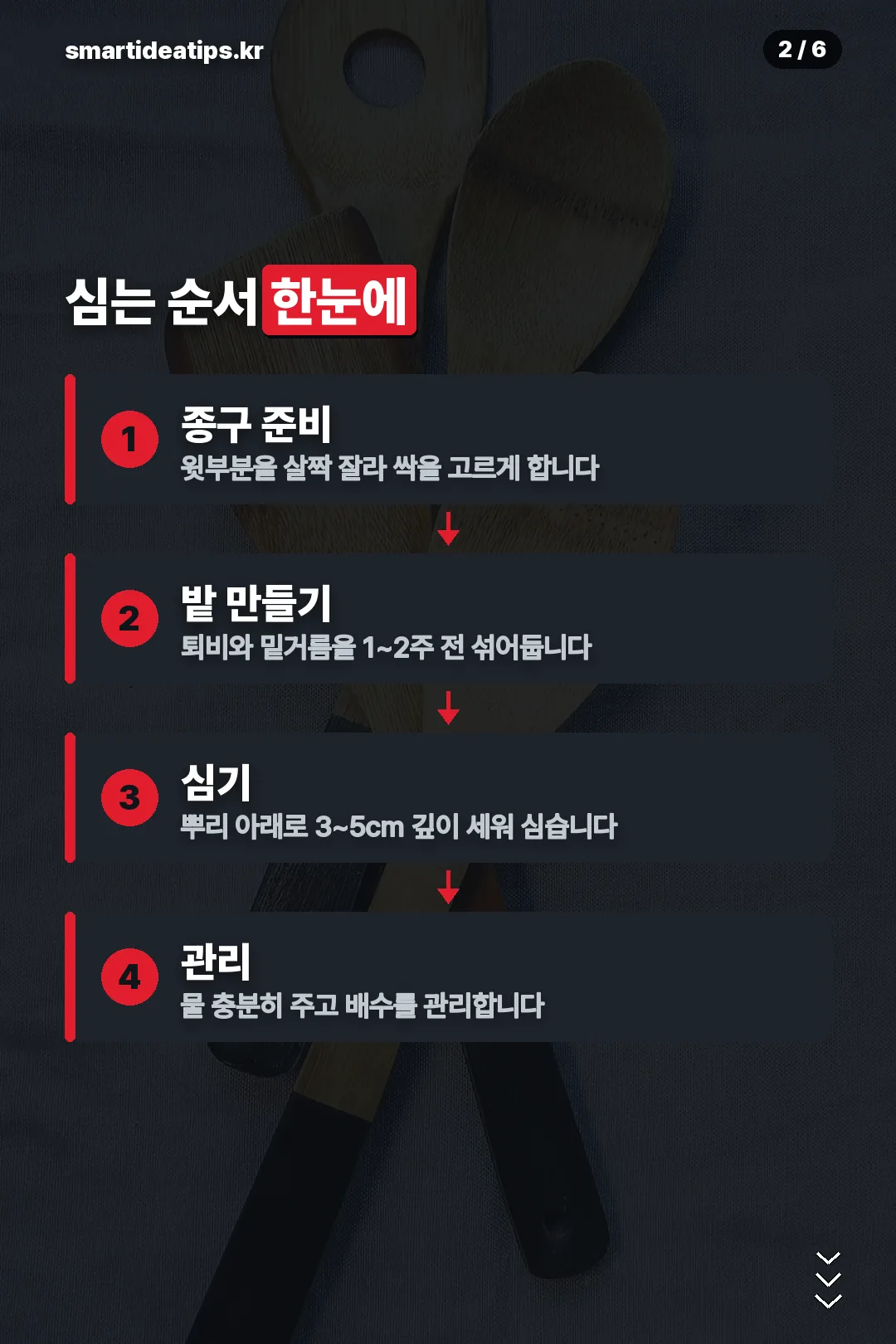 심는 순서 한눈에
