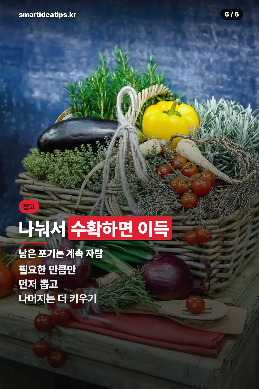 나눠서 수확하기