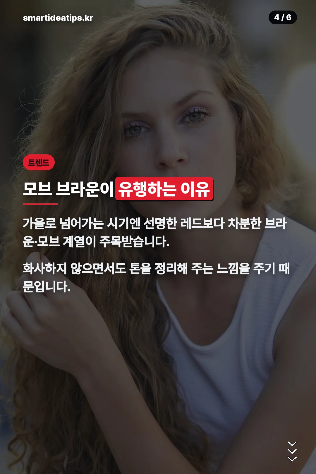 모브 브라운 트렌드