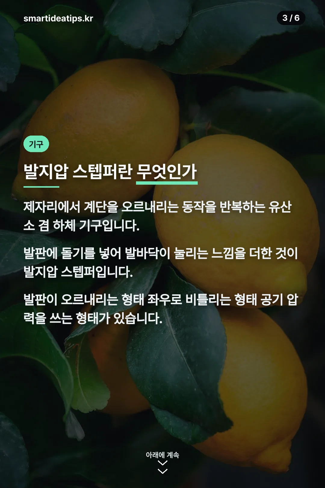 발지압 스텝퍼란