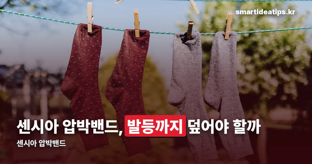 센시아 압박밴드 정리 썸네일