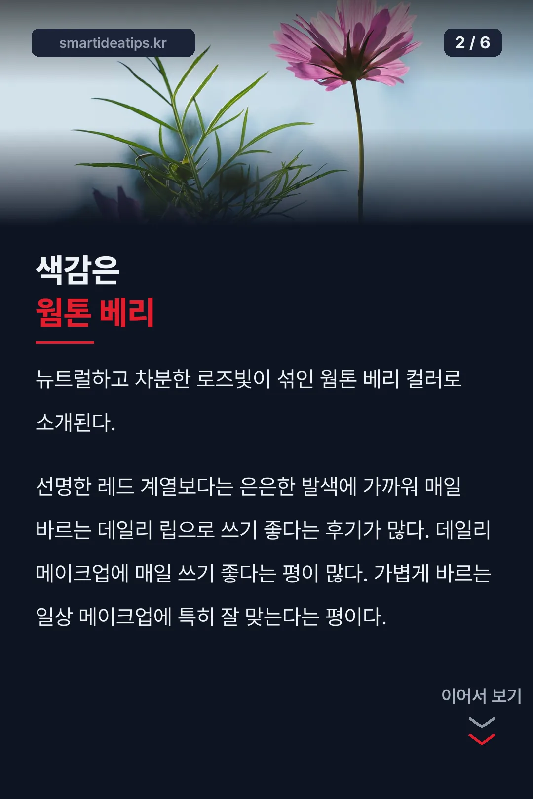 웜톤 베리 색감