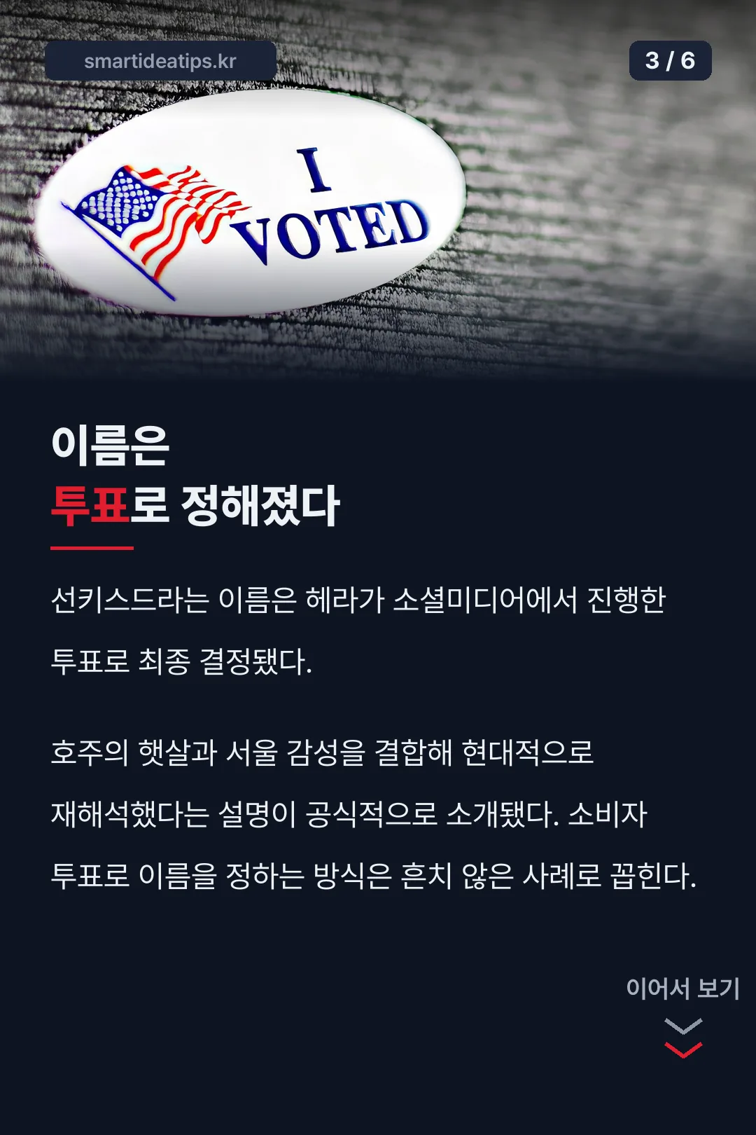 컬러명 투표로 결정