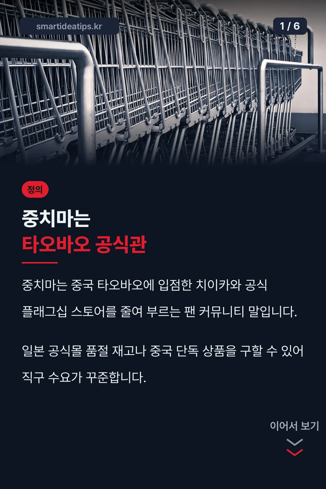 중치마 정의 요약