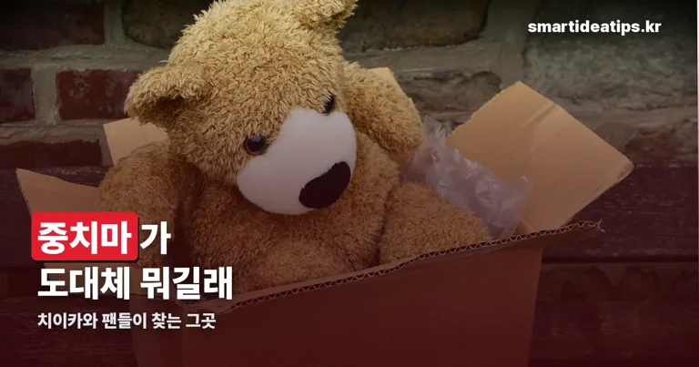 중치마 정리 썸네일