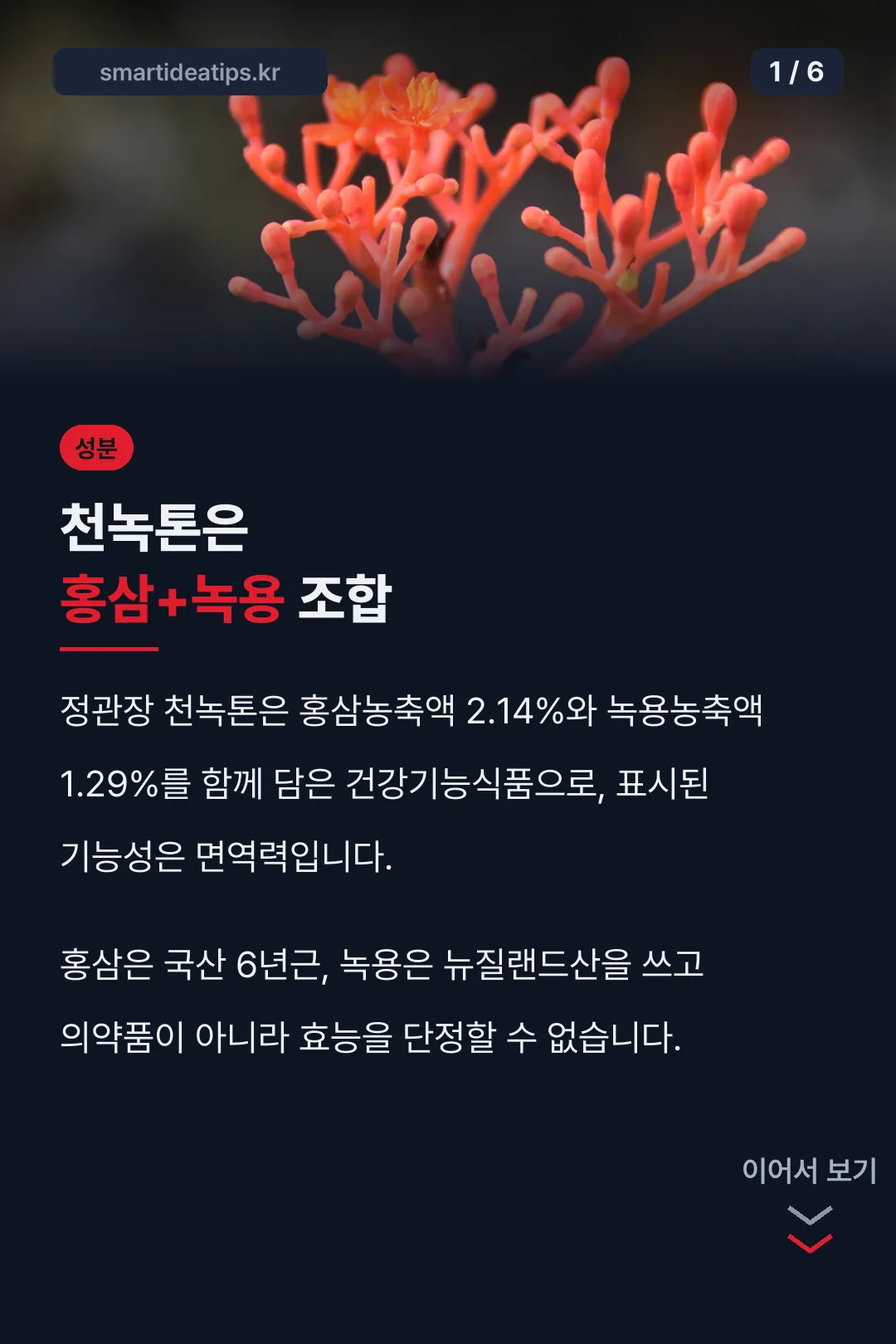 정관장 천녹톤 성분 표지