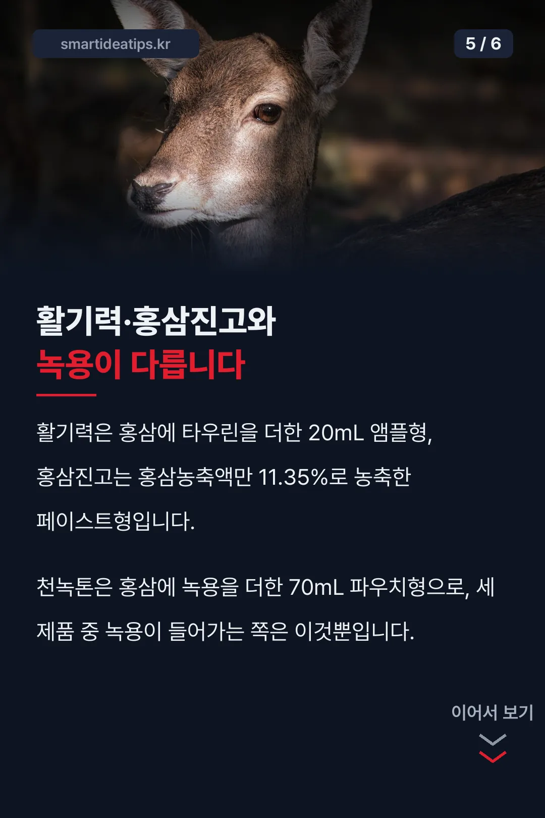 활기력·홍삼진고와 차이