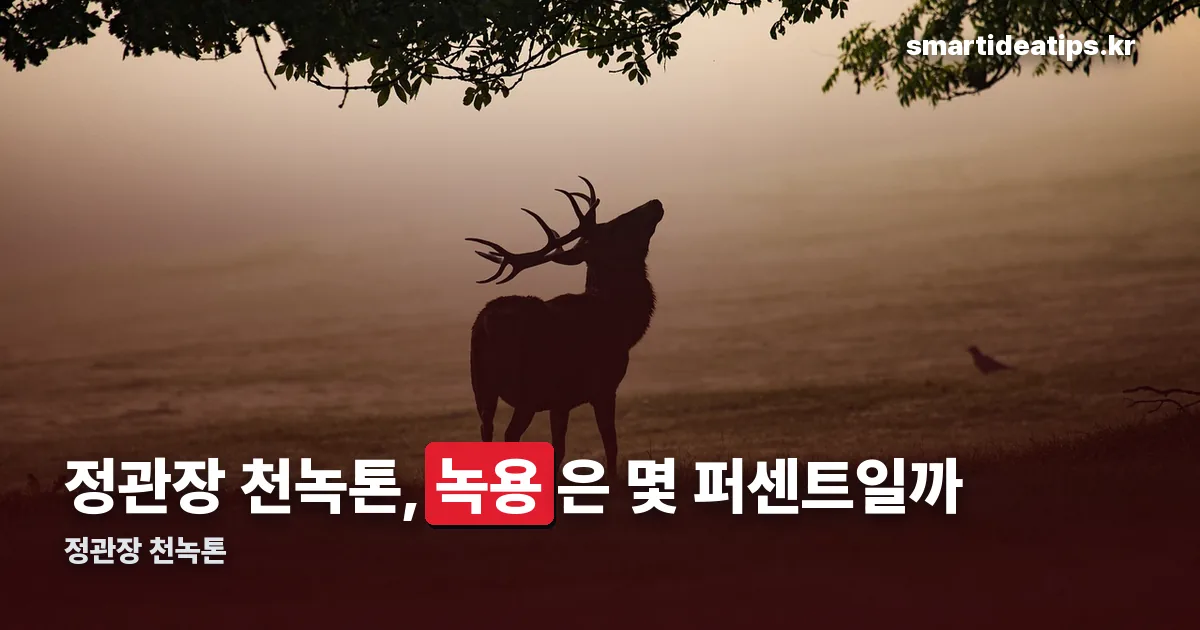 정관장 천녹톤 정리 썸네일