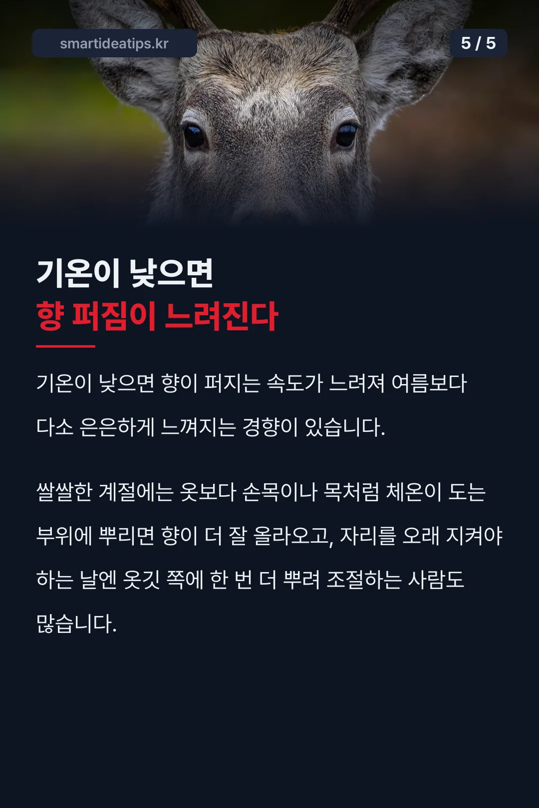 겨울철 향 퍼짐 속도