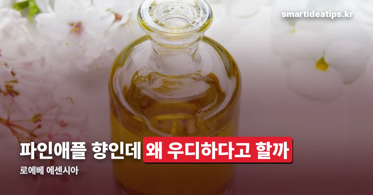 로에베 에센시아 정리 썸네일